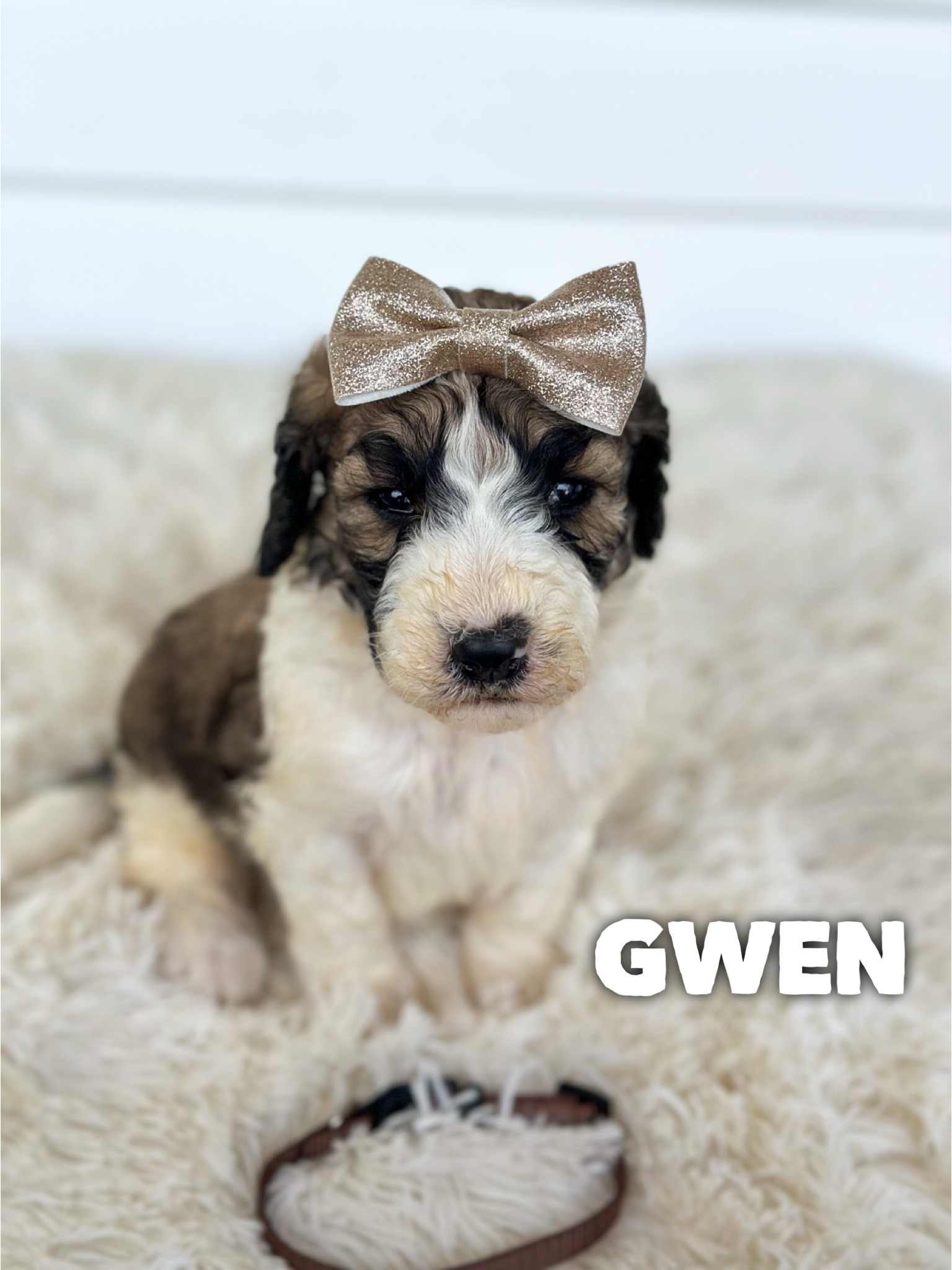Gwen 2